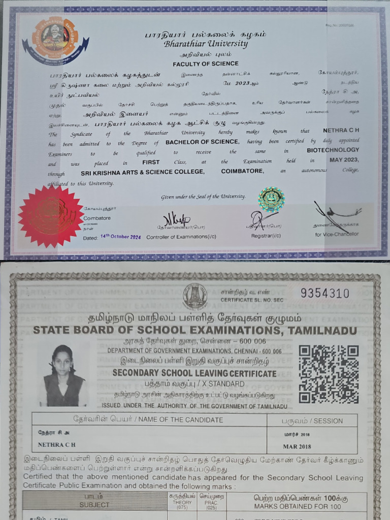 Educational Certificates | PDF | Student Assessment And Evaluation ...