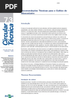 recomendações técnicas para o cultivo do abacaxizeiro