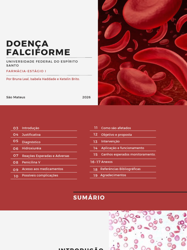 Doença Falciforme - 20260209 - 100054 - 0000 | PDF