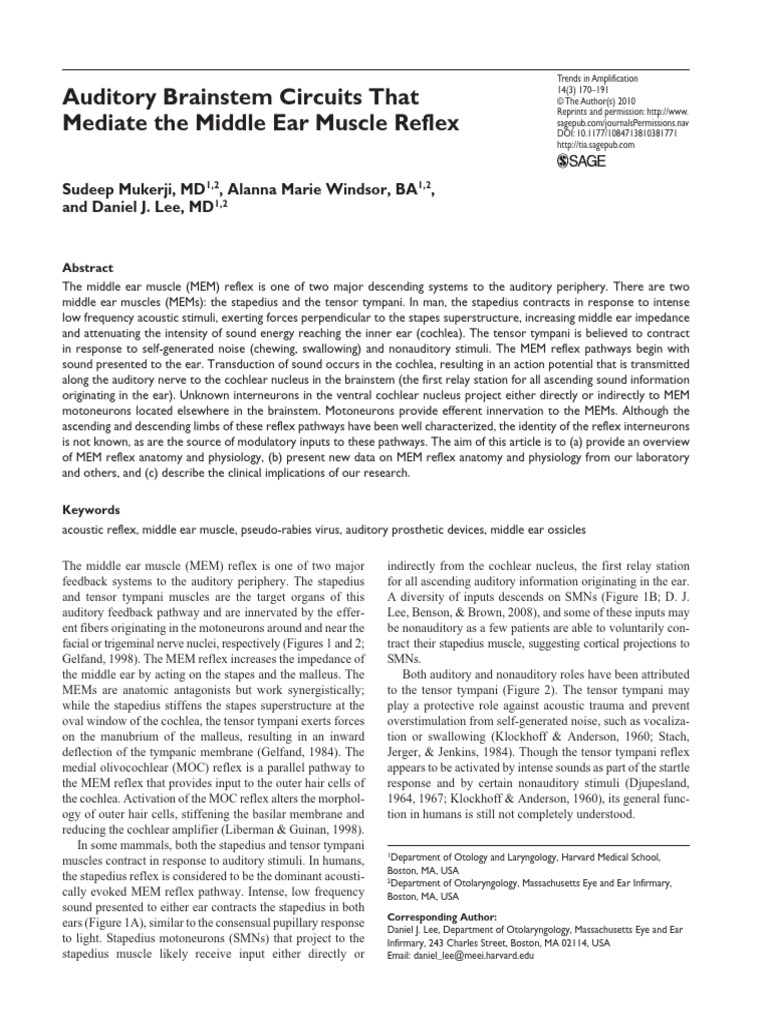 Auditory Brainstem Circuits That Mediate The Middle Ear Muscle Reflex ...