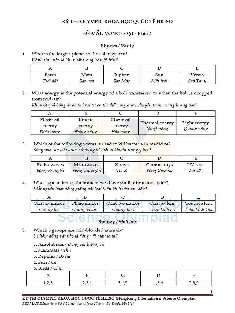 Preliminary P4 | PDF