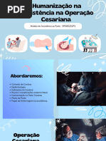Diretrizes para Classificação de Robson | PDF | Parto | Gravidez