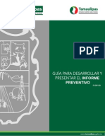 Guia Informe Preventivo