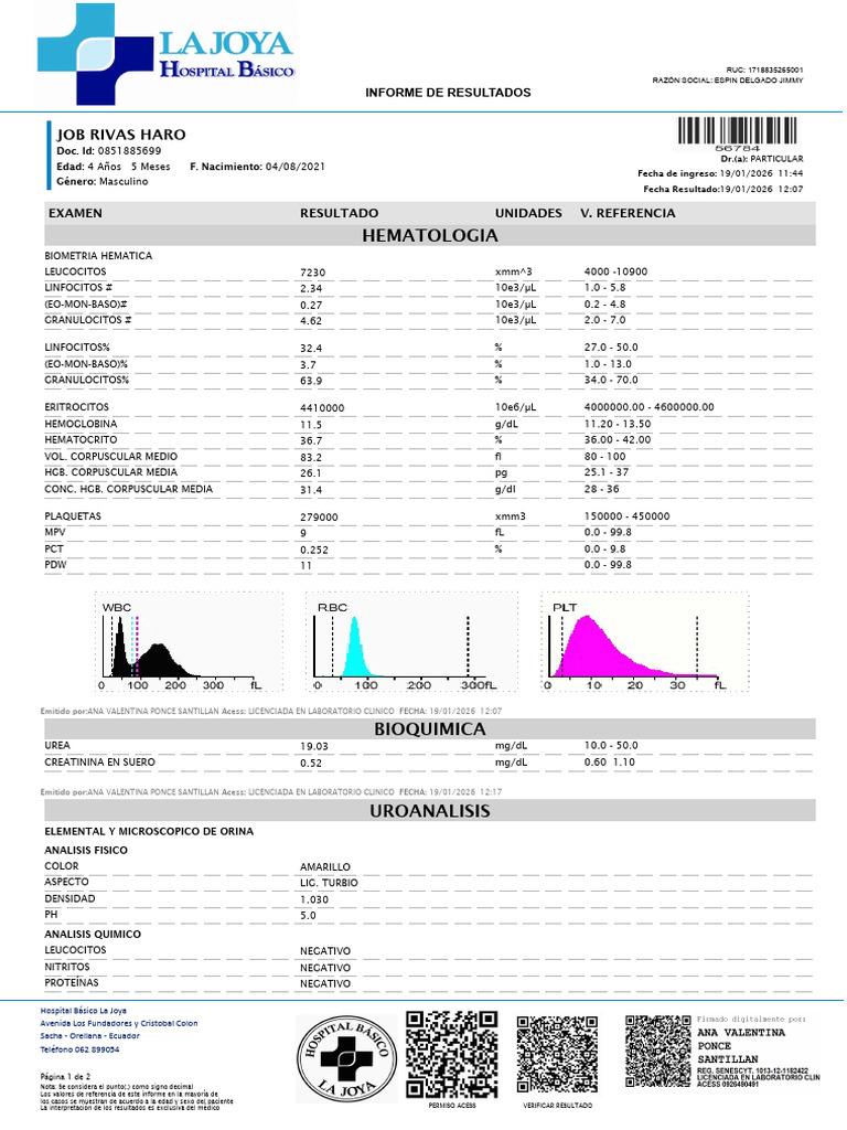 Cod 56784 Job Rivas Harofirma | PDF | Especialidades Medicas | Sangre