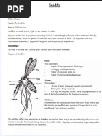 Sand Fly: Identification and Control | PDF | Insects | Zoology
