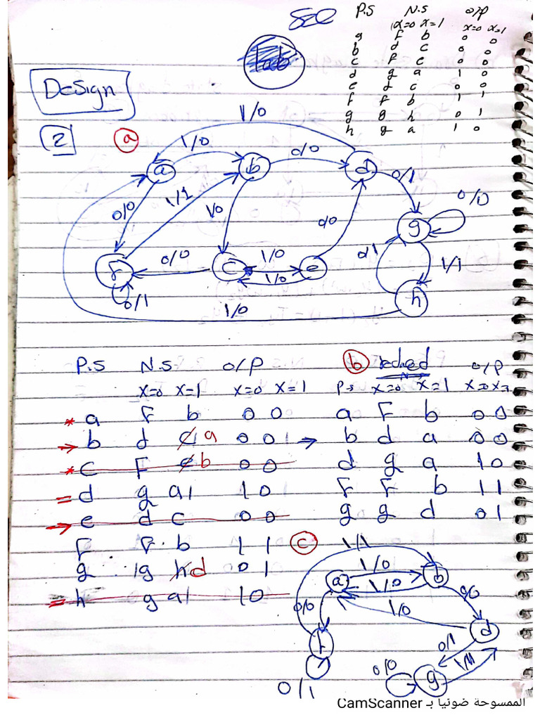 Section 3 Notes | PDF
