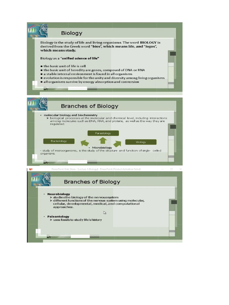 Bio SS NG | PDF