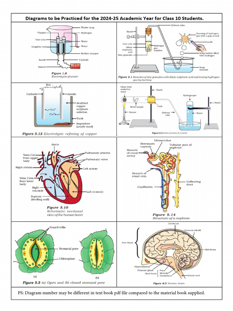 2024-25 Science Diagrams en Optimum | PDF | Physical Chemistry ...
