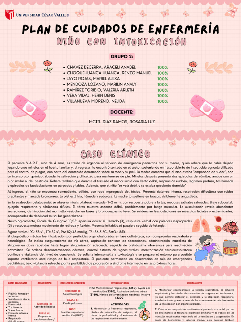 SESIÓN 12 - PLAN DE CUIDADO DE ENFERMERÍA (1) | PDF | Sistema ...