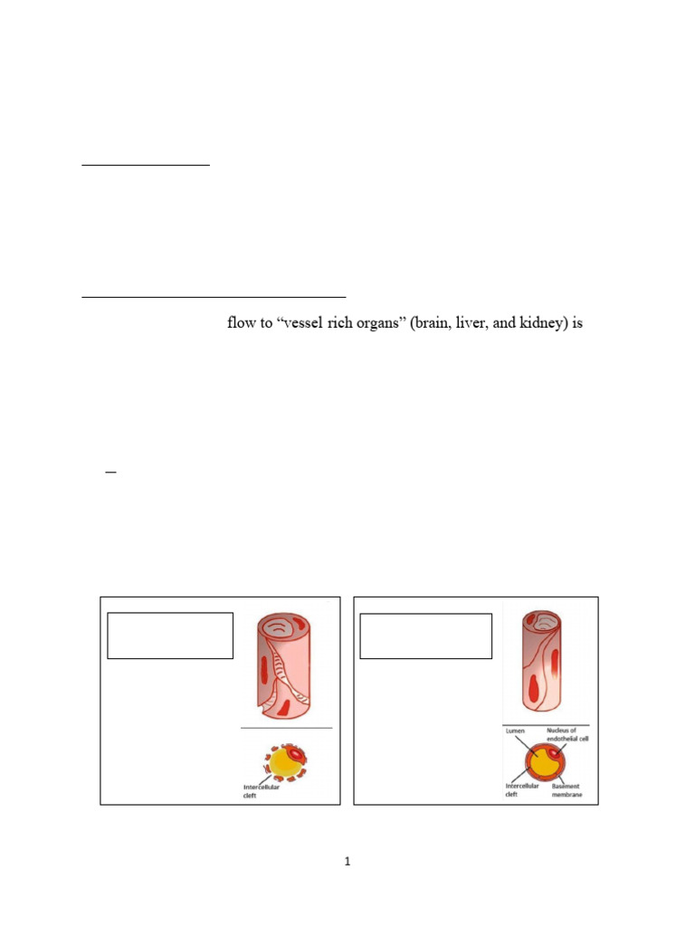 Drug Distribution and Metabolism | PDF | Drug Metabolism | Capillary