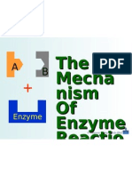 The Mechanism of Enzyme Reaction