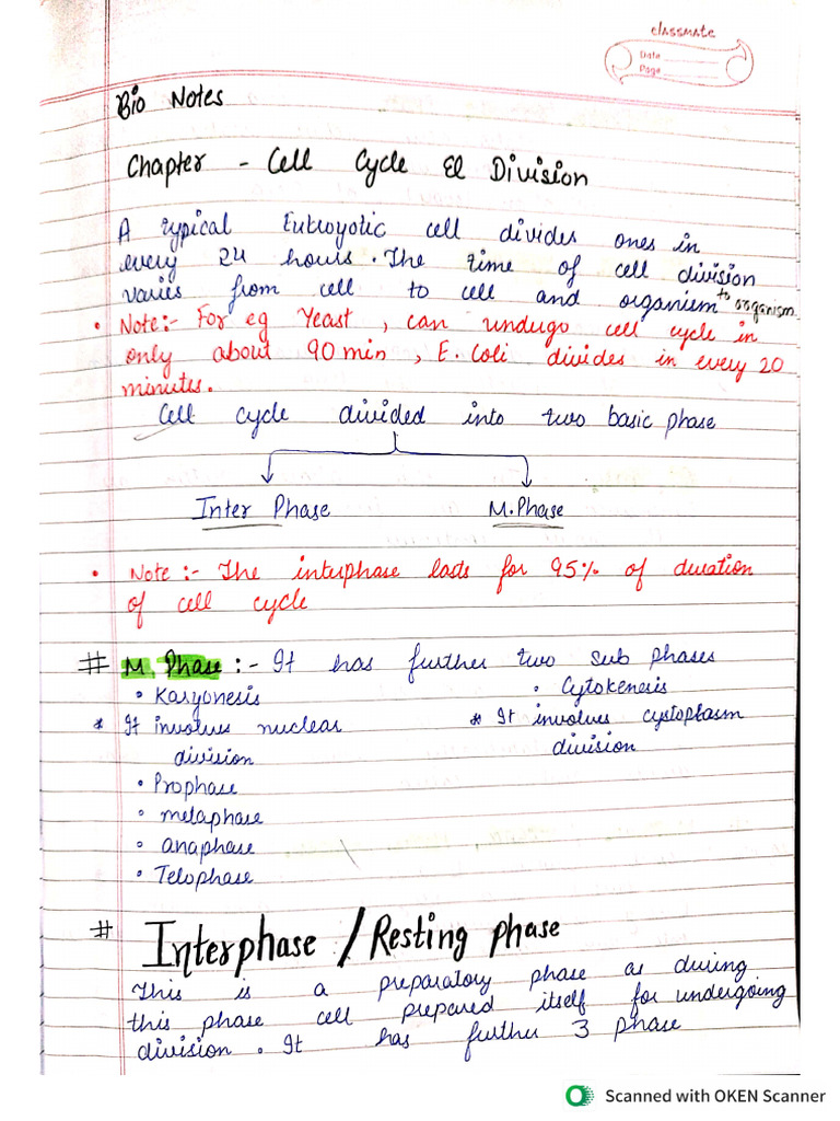 Bio Notes Chapter Cell Cycle and Division | PDF