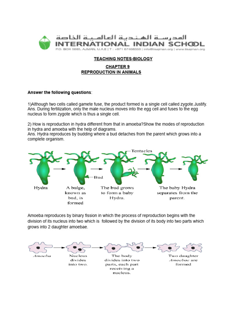 G8 - ch-9 REPRODUCTION IN ANIMALS Notes | PDF | Fertilisation | Sexual ...
