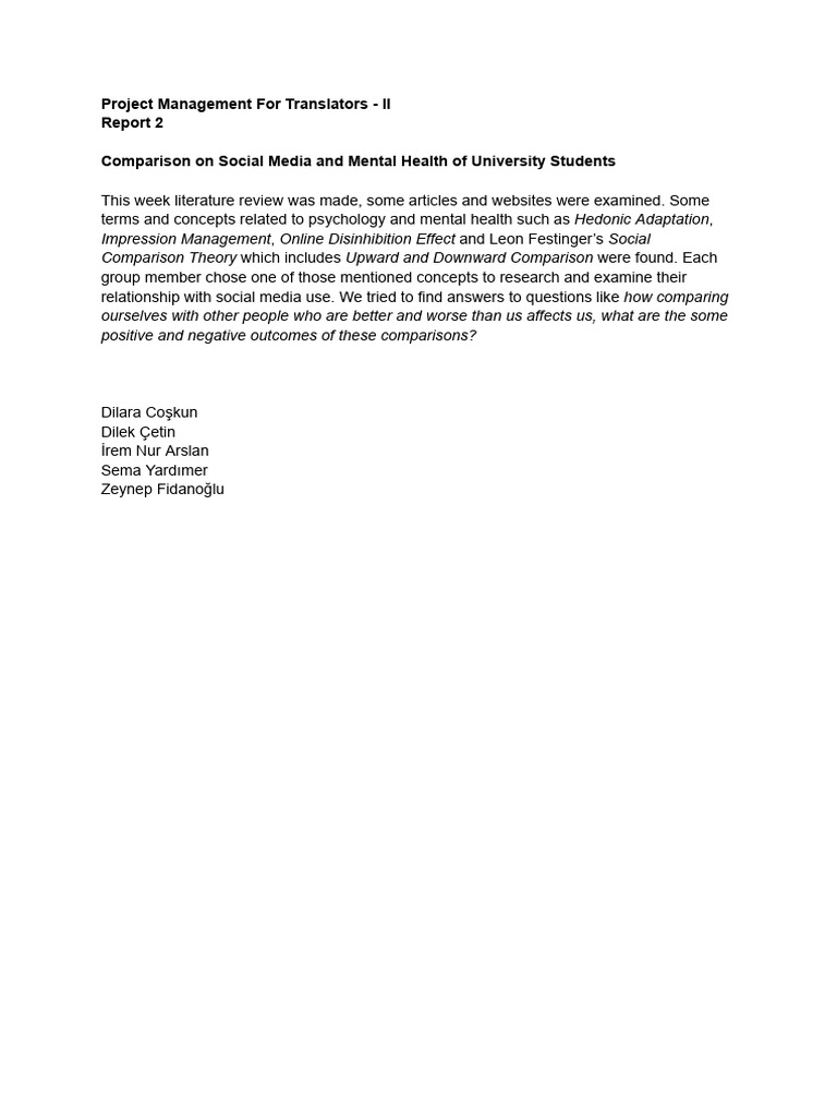Project Management Report 2 | PDF