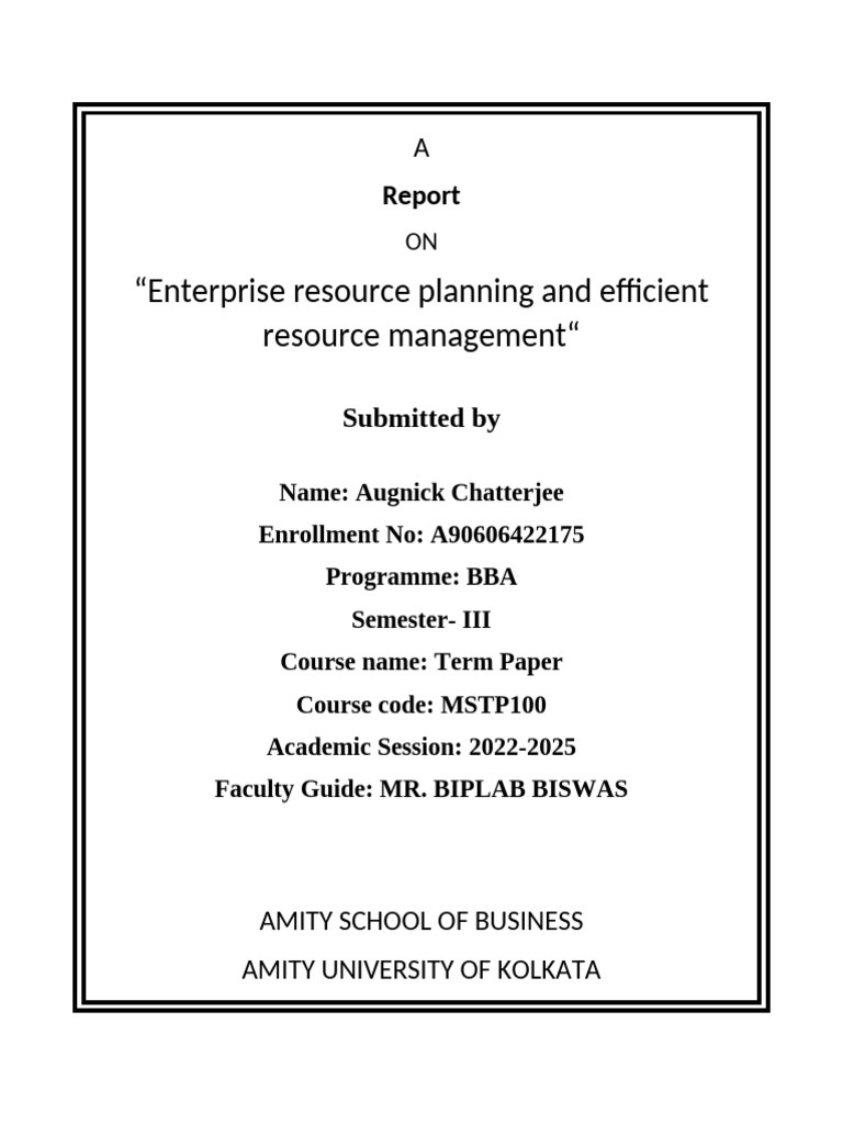 Enterprise Resource Planning | PDF | Enterprise Resource Planning | Web ...