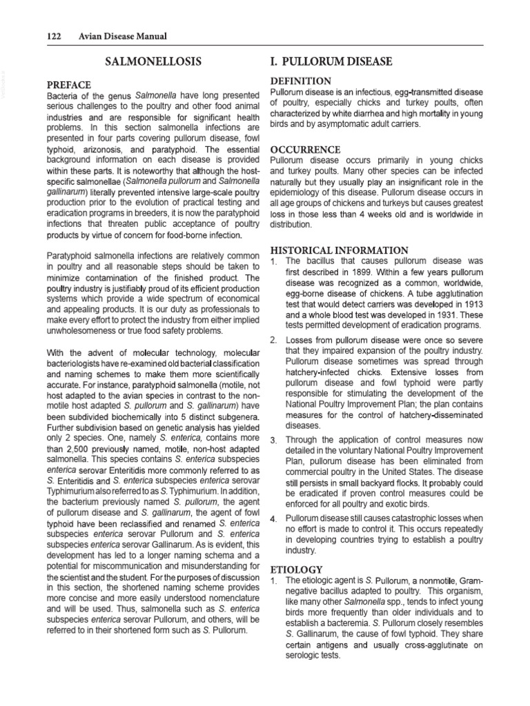Avian Salmonellosis - Pullorum Disease | PDF | Salmonella | Poultry