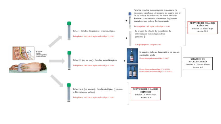 Diagrama LCR | PDF | Ciencias de la vida | Medicina CLINICA