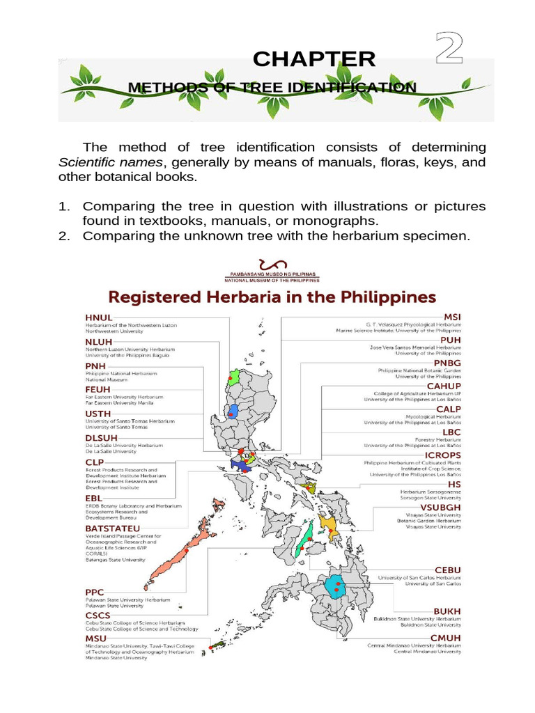 04 Methods of Tree Identification | PDF | Leaf | Pine