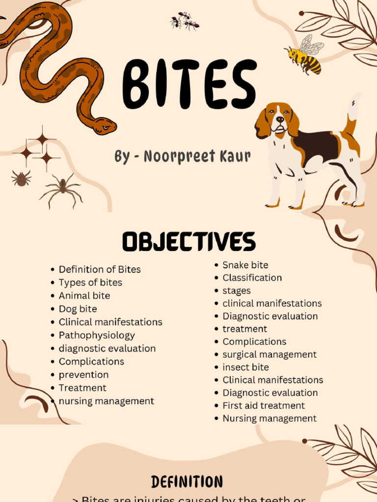 Bites | PDF