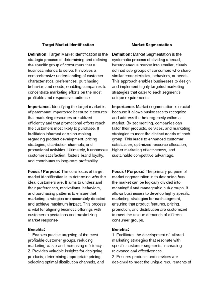 Target Market Identification | PDF | Marketing | Market Segmentation