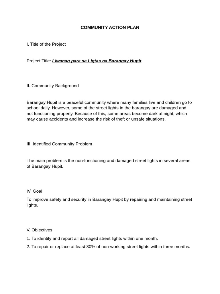 Community Action Plan | PDF