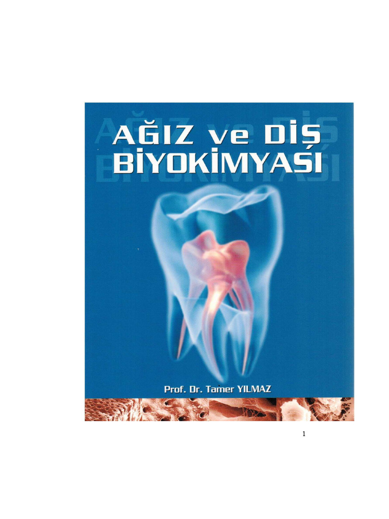 Agiz Ve Dis Biyokimyasi PDF | PDF