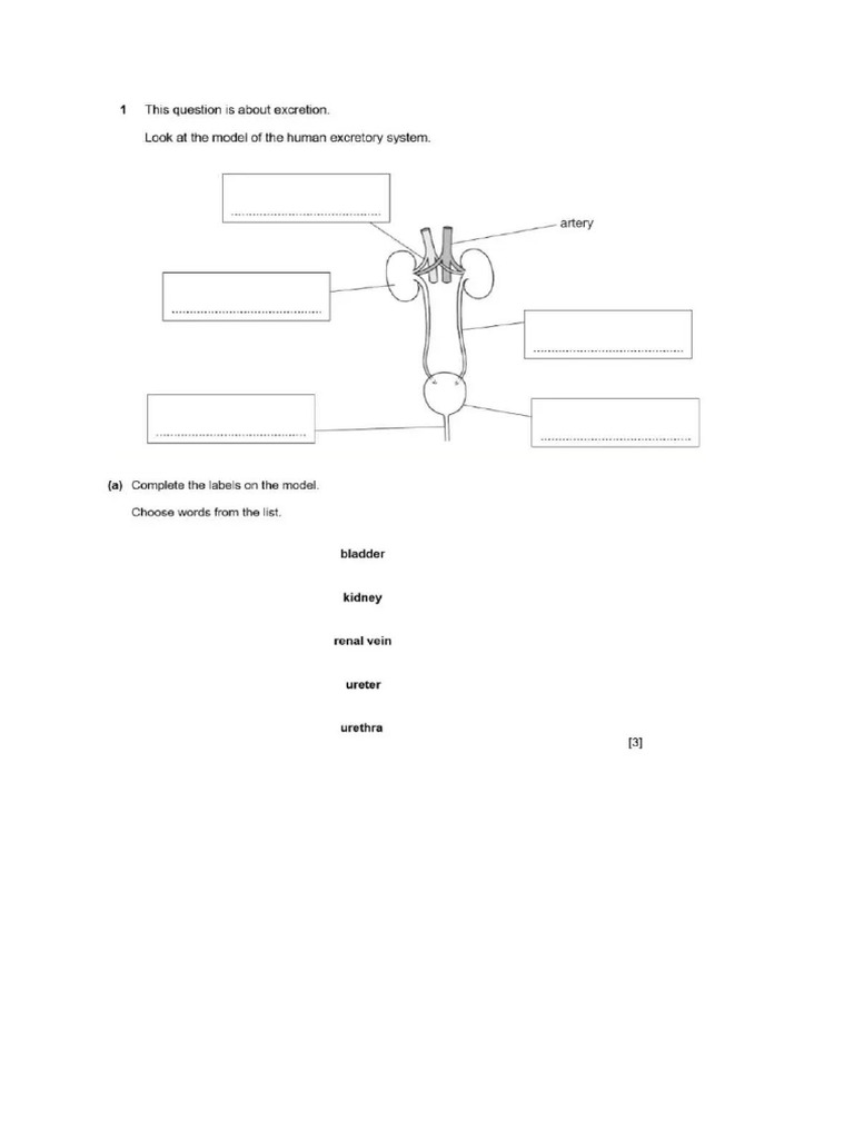Pass Paper 2 (2025) | PDF