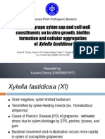 Effects of grape xylem sap and cell wall constituents on in vitro growth, biofilm formation and cellular aggregation of Xylella fastidiosa