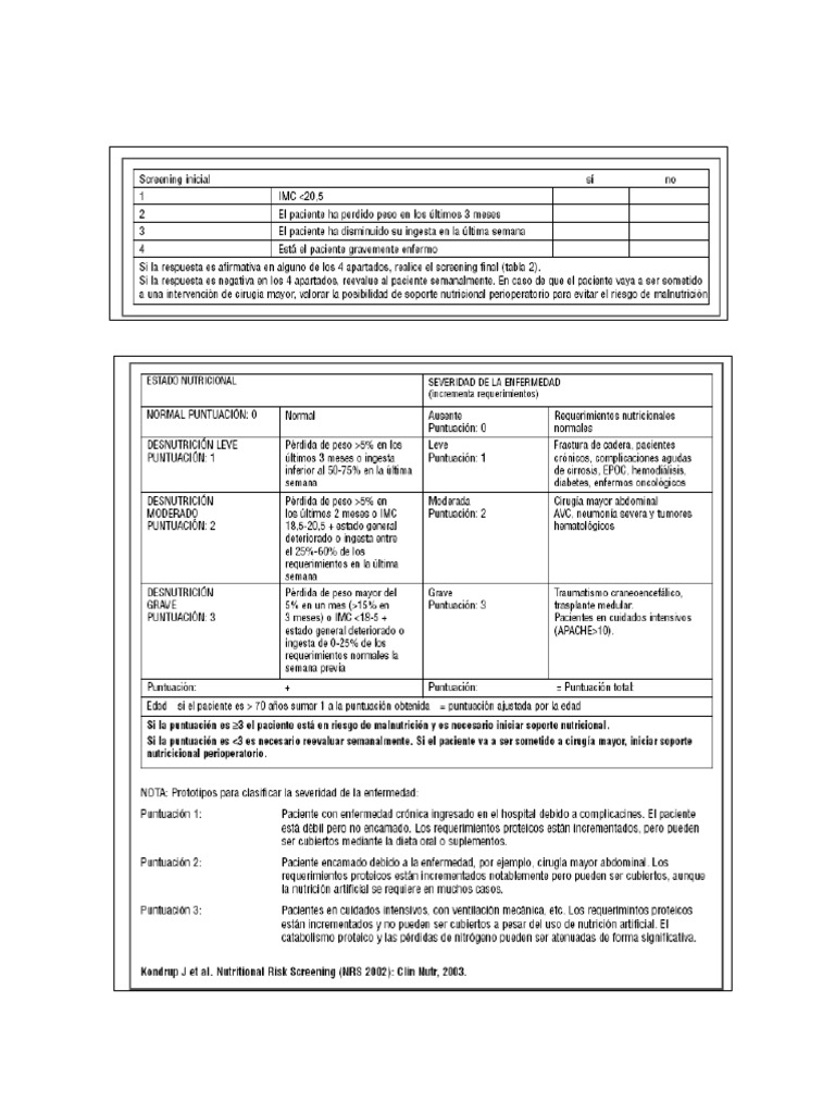 NRS 2002 Herramienta | PDF