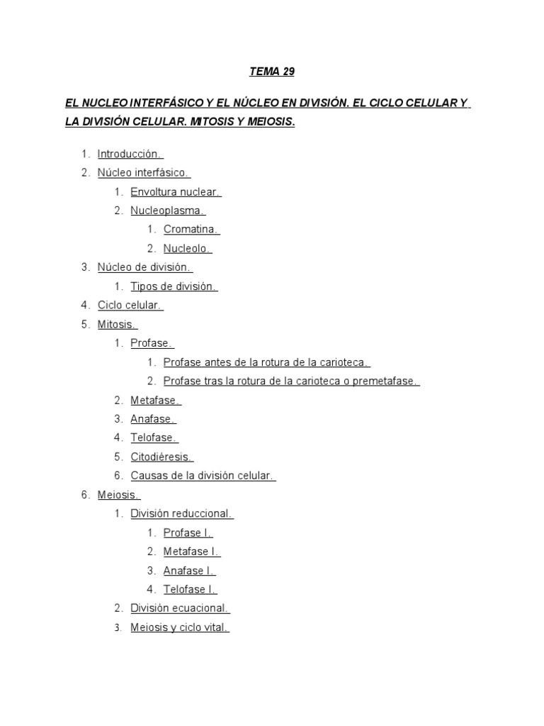 Tema 29 Nucleo Pdf Mitosis Mitosis