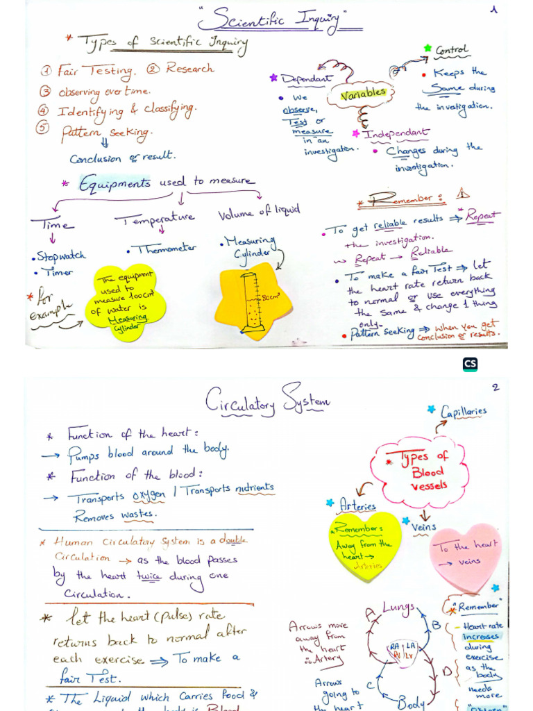 Science Notes | PDF