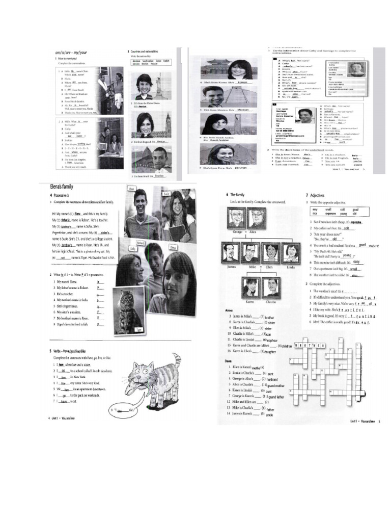 Homework, Work Book | PDF