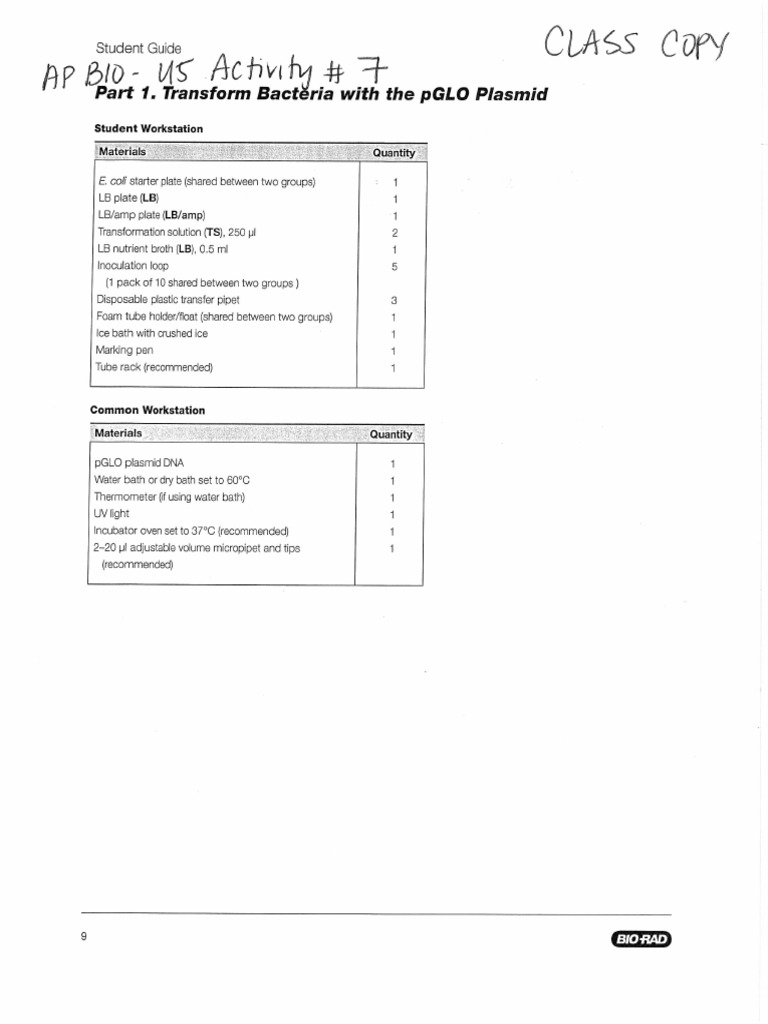 7 Bacterial Transformation Lab Directions | PDF