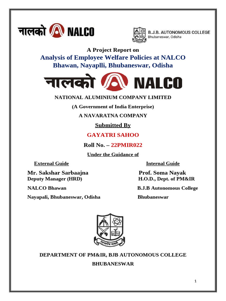 NALCO | PDF | Well Being | Performance Appraisal