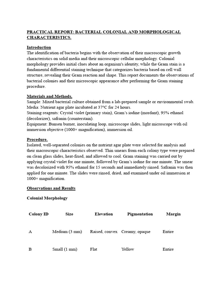 Practical Report 1 | PDF | Gram Positive Bacteria | Staining