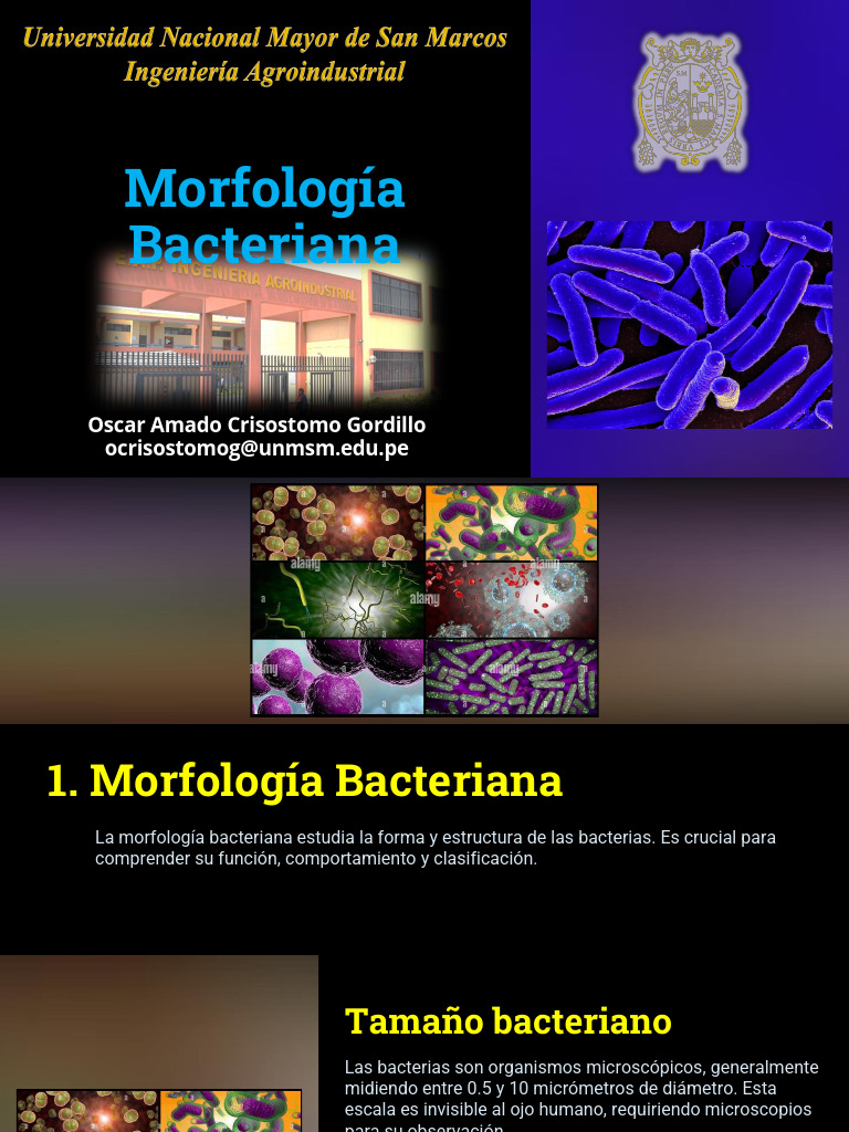 03 Morfologia Bacteriana | PDF | Las bacterias | Bacterias Gram Positivas