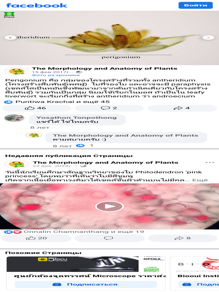 Perigonium คือ... - The Morphology and Anatomy of Plants | PDF