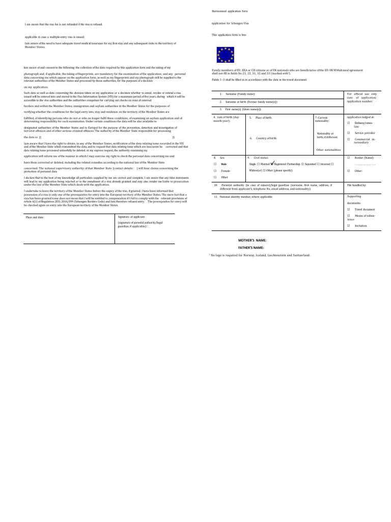 Visa Application Form | PDF | Travel Visa | Passport