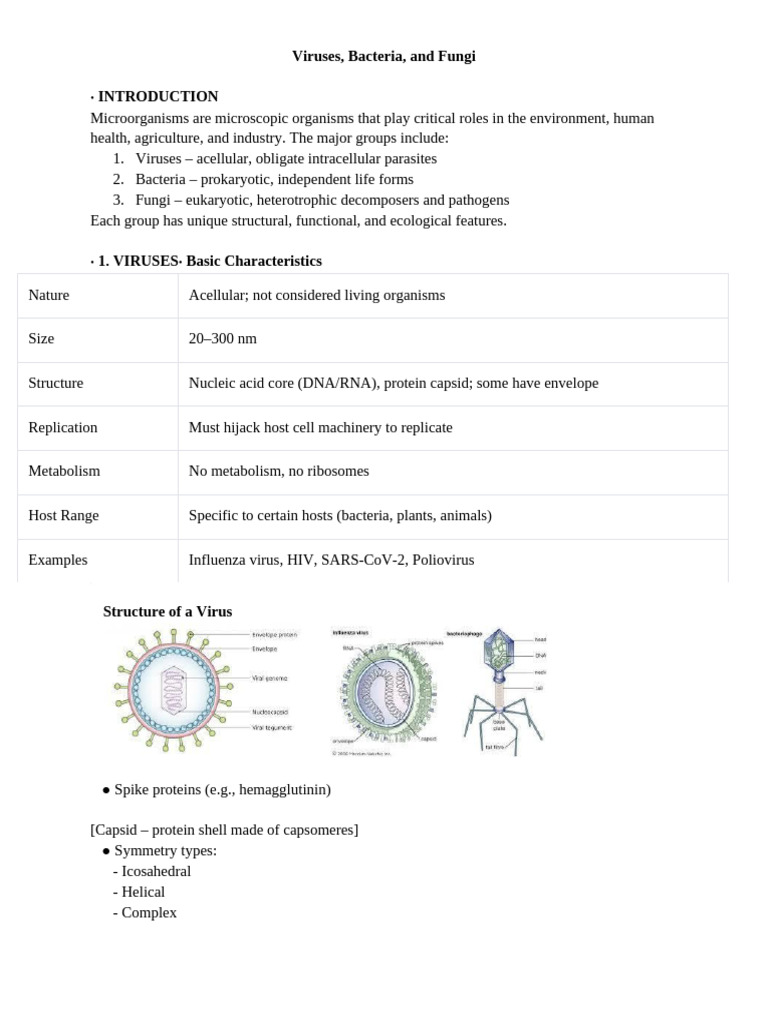 Viruses, Bacteria and Fungi | PDF | Virus | Fungus