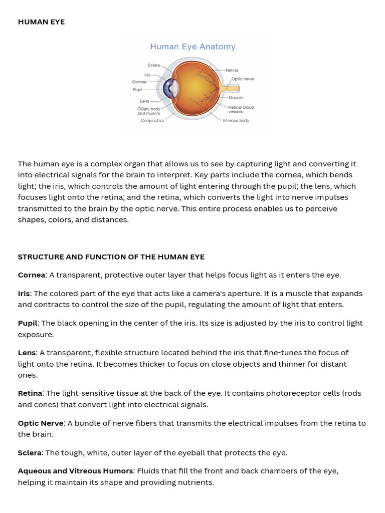 Human Eye - 20251108 - 110012 - 0000 | PDF