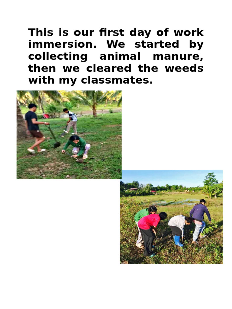 Work Immersion Program | PDF