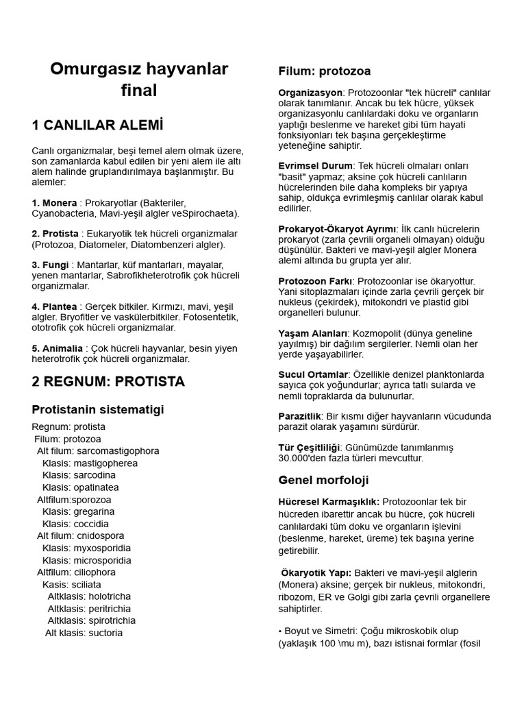 Omurgasız Final | PDF