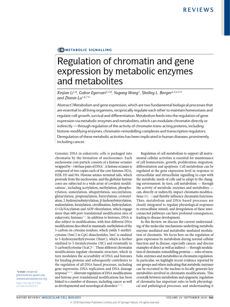 Regulation of Chromatin and Gene Expression by Metabolic Enzymes and ...