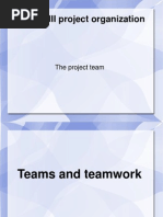 Project Team