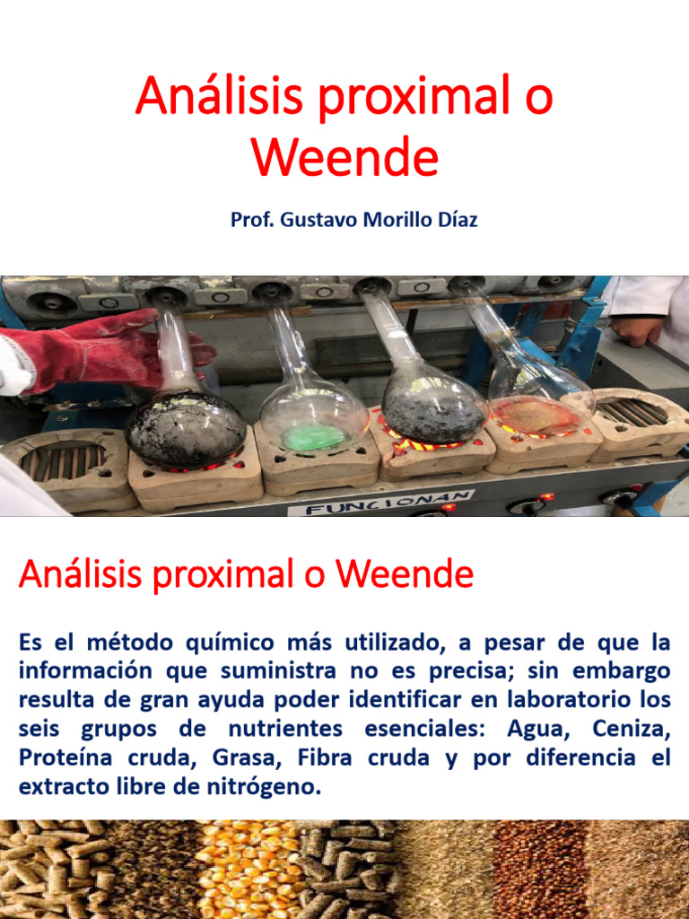 Análisis Proximal o Weende | PDF | Proteínas | Nutrientes