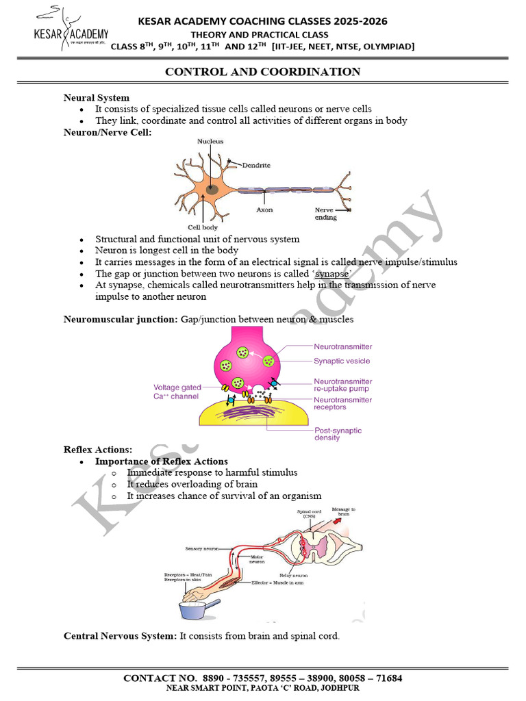 Class 10 Biology Chapter 6 Control and Coordination | PDF | Nervous ...