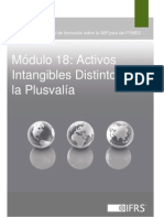 18_Activos Intangibles Distintos de La Plusvalia