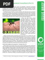 Download Issue Brief GE Mosquitoes in US by amanda_mccorquo2928 SN100213440 doc pdf