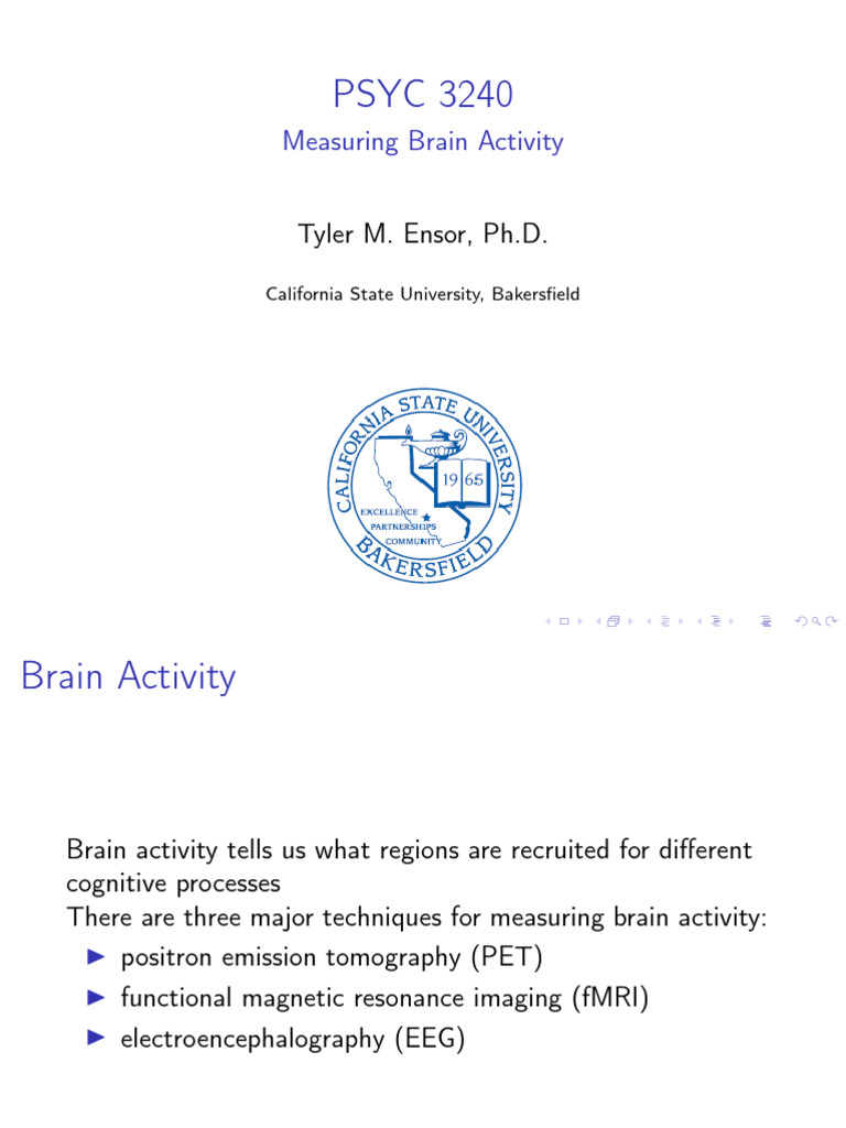 6 Measuring Brain Activity | PDF