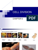 Cell DIVISION